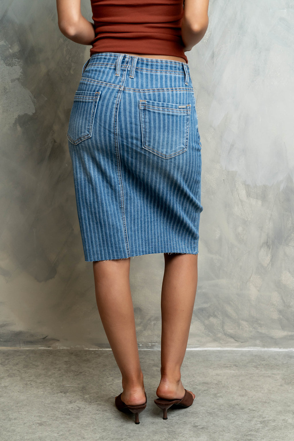 Bridget Striped Denim Knee Length Skirt