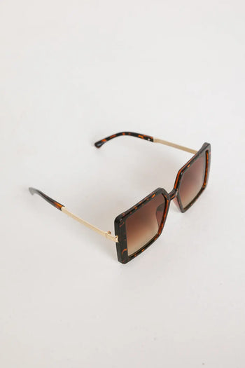 Brow sunglasses 