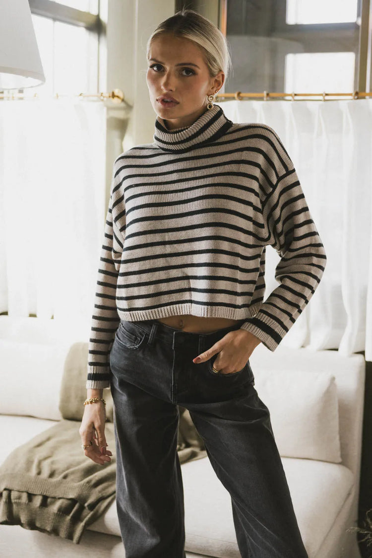 Knit striped turtle neck 