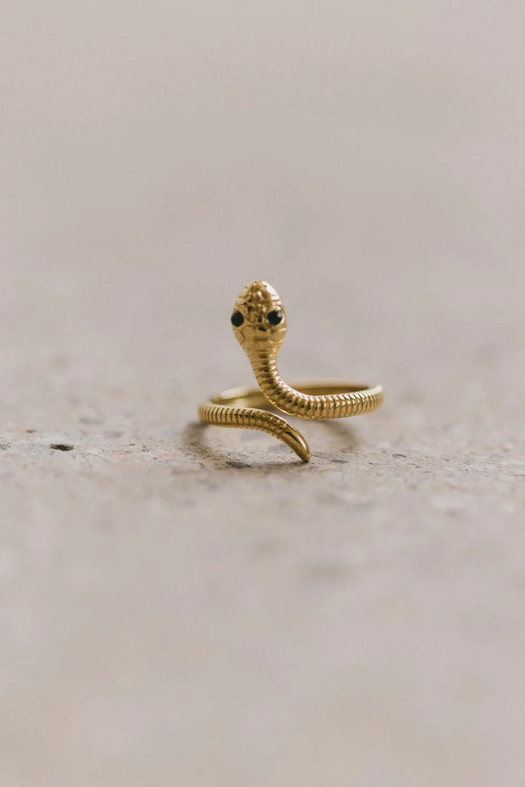 Snake ring 