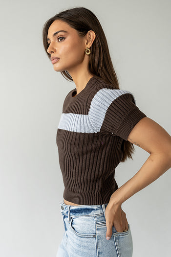 BROWN SWEATER WITH BLUE STRIP