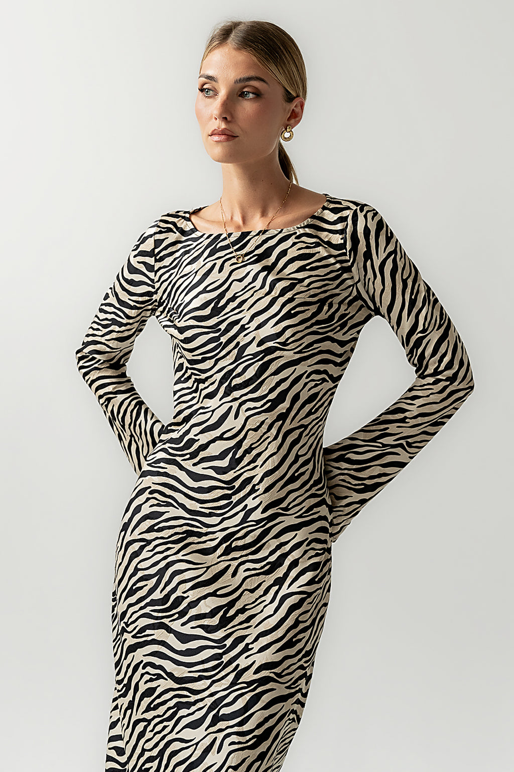 Melody Zebra Ultra Maxi Dress