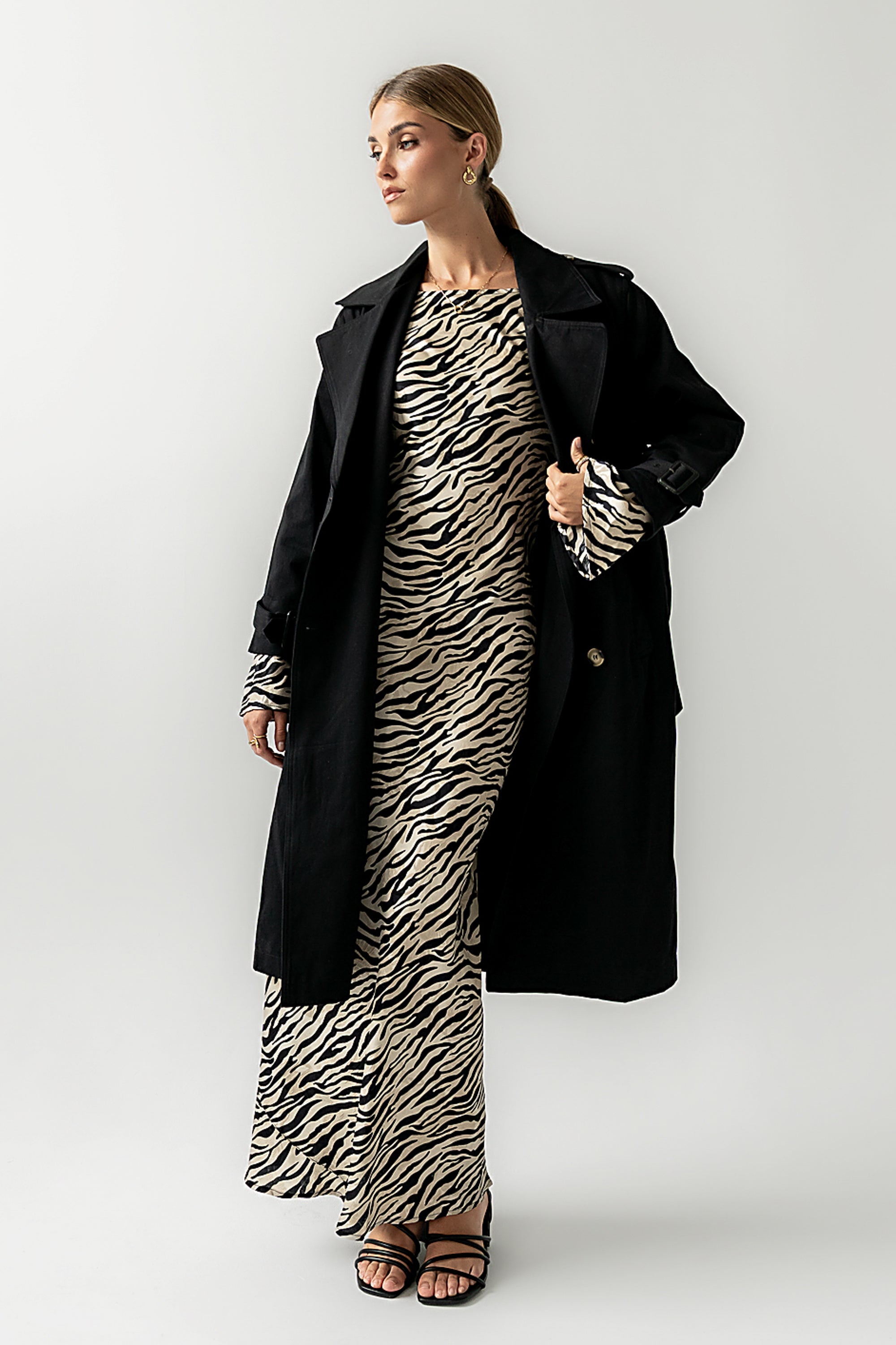 Melody Zebra Ultra Maxi Dress - FINAL SALE
