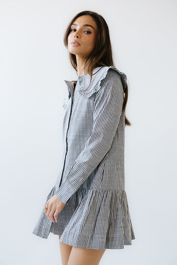Renley Striped Mini Dress