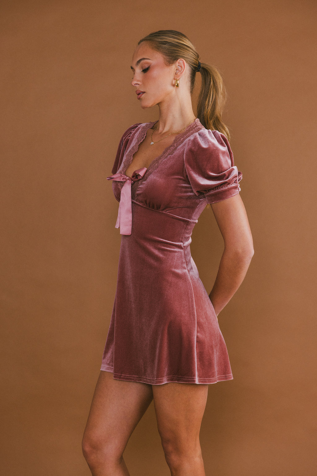 Roxanna Velvet Mini Dress in Mauve