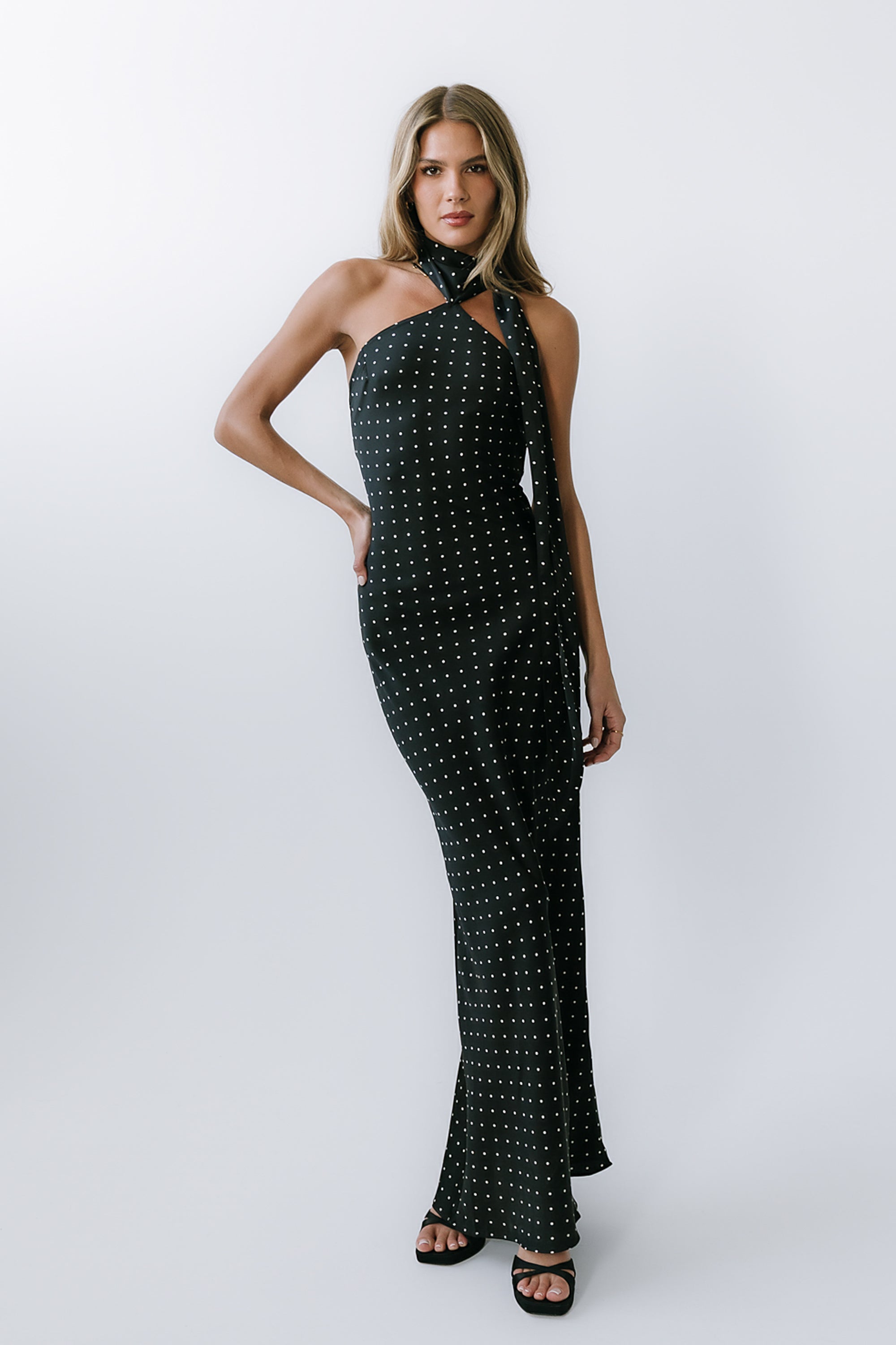 Max Polka Dot Maxi Dress L / Black