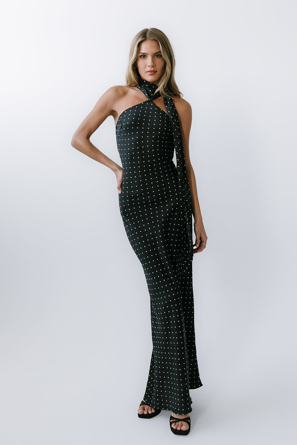 Max Polka Dot Maxi Dress