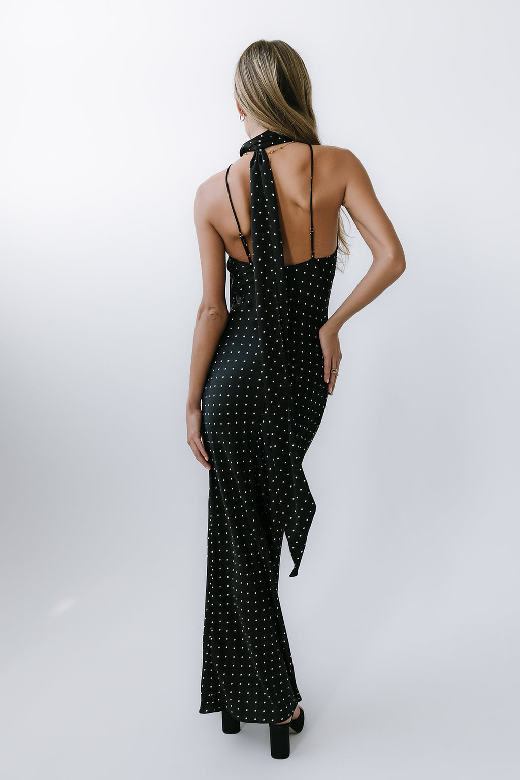 Max Polka Dot Maxi Dress L / Black