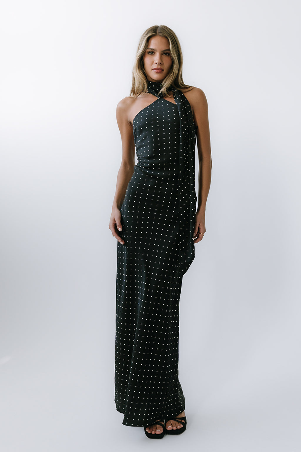Max Polka Dot Maxi Dress