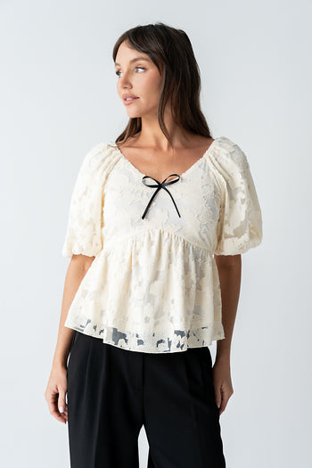 Johnny Sheer Blouse - FINAL SALE