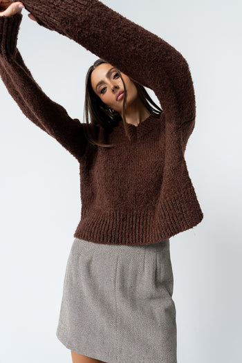 Junie Fuzzy Sweater in Brown