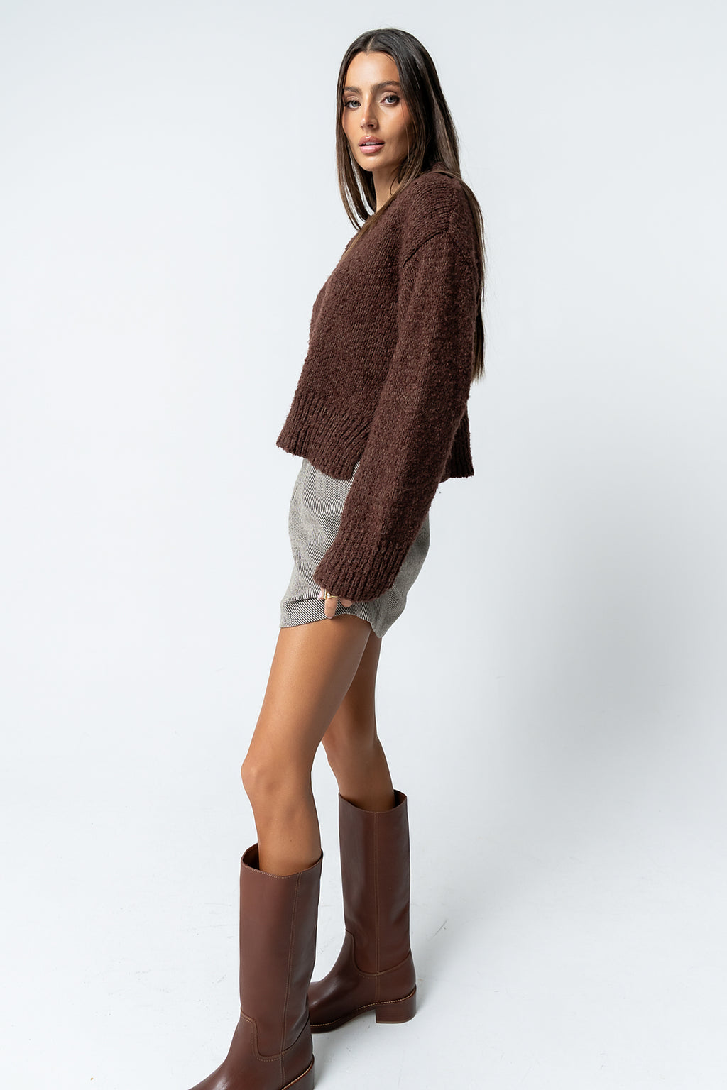 Junie Fuzzy Sweater in Brown