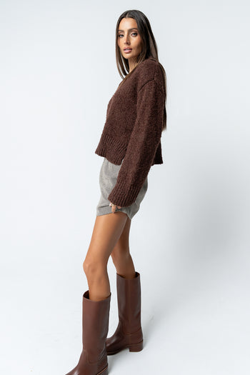 Junie Fuzzy Sweater in Brown