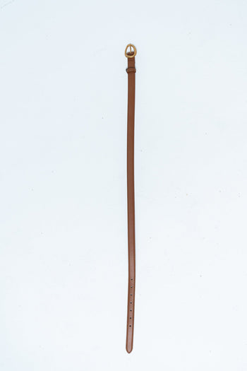 Delia Brushed Gold Belt in Tan
