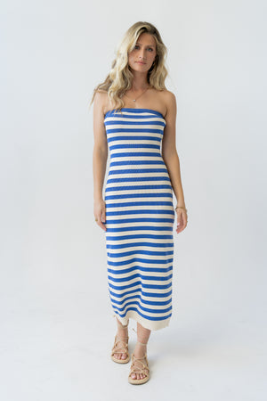 bhme Sydni Strapless Knit Maxi Dress in Blue Size XL bhme Sydni Strapless Knit Maxi Dress in Blue Size XL