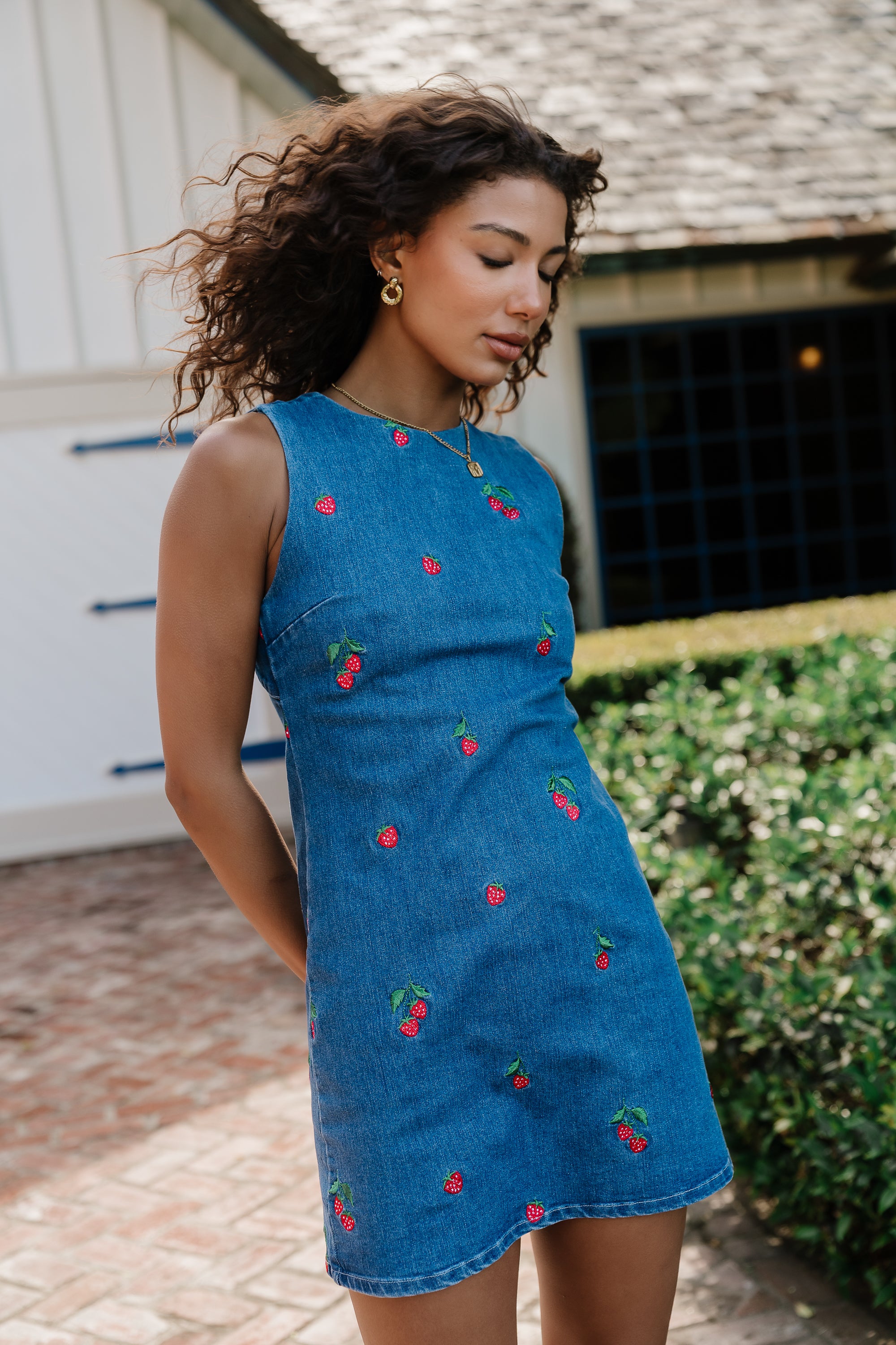 embroidered mini dresses Petals In The Sun Chiffon Embroidered Mini Dress (Black)