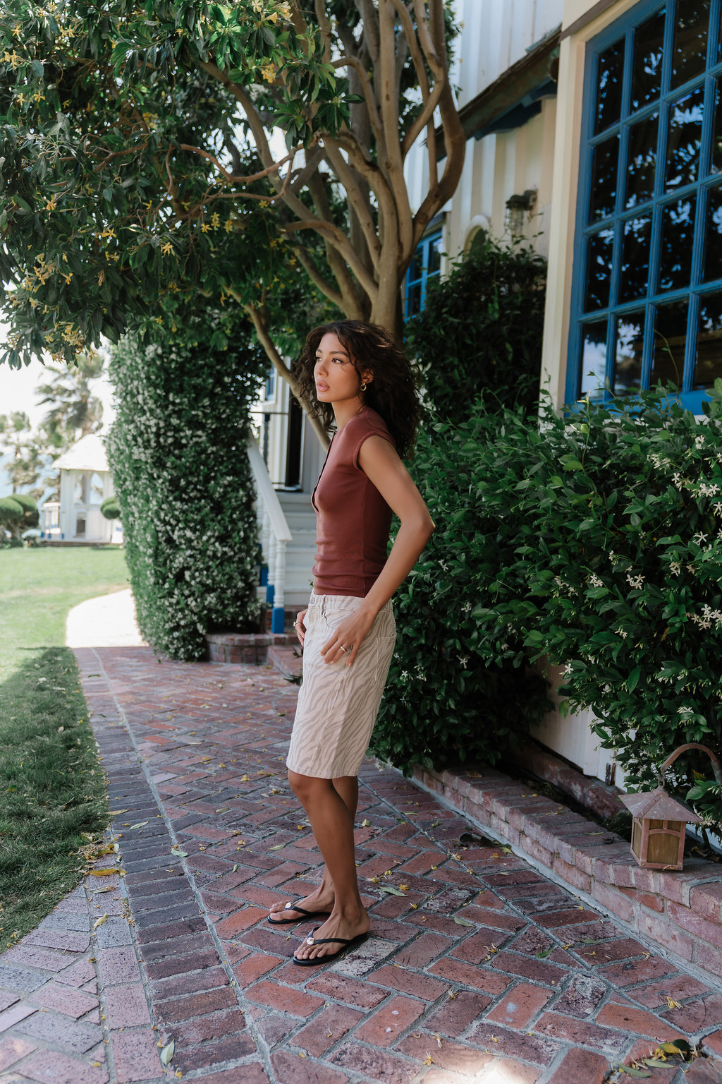Rustin Sheer Top in Brown