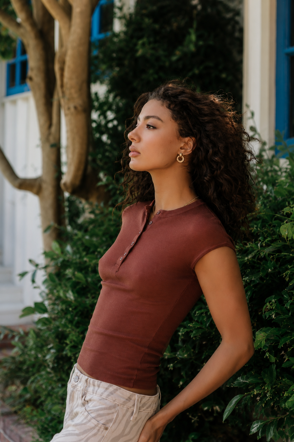 Rustin Sheer Top in Brown