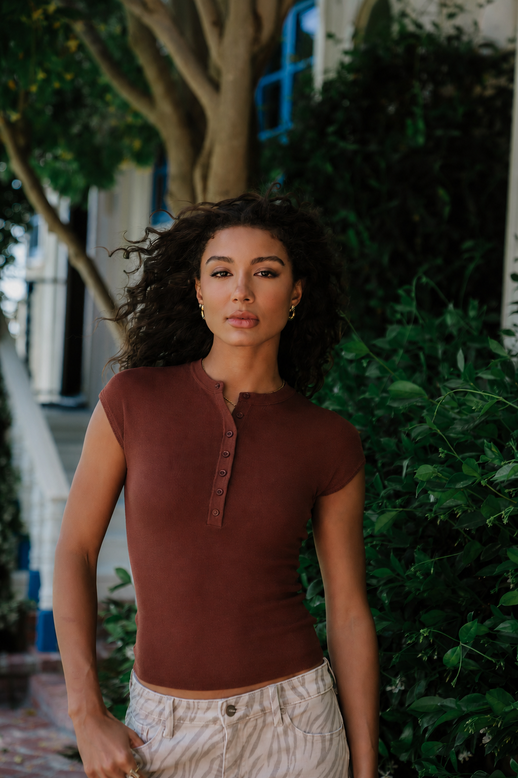 Rustin Sheer Top in Brown