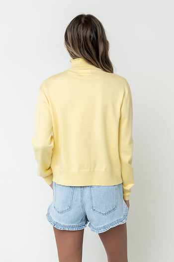 Joanna Denim Ruffle Shorts
