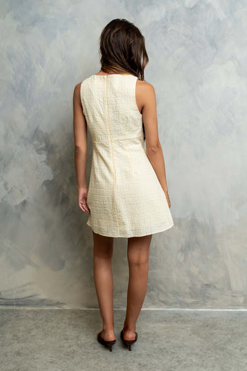 Jayden Sleeveless Mini Dress in Yellow