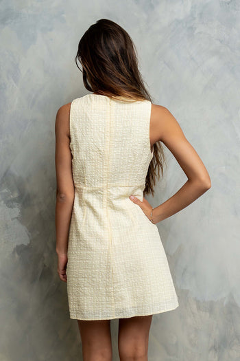 Jayden Sleeveless Mini Dress in Yellow