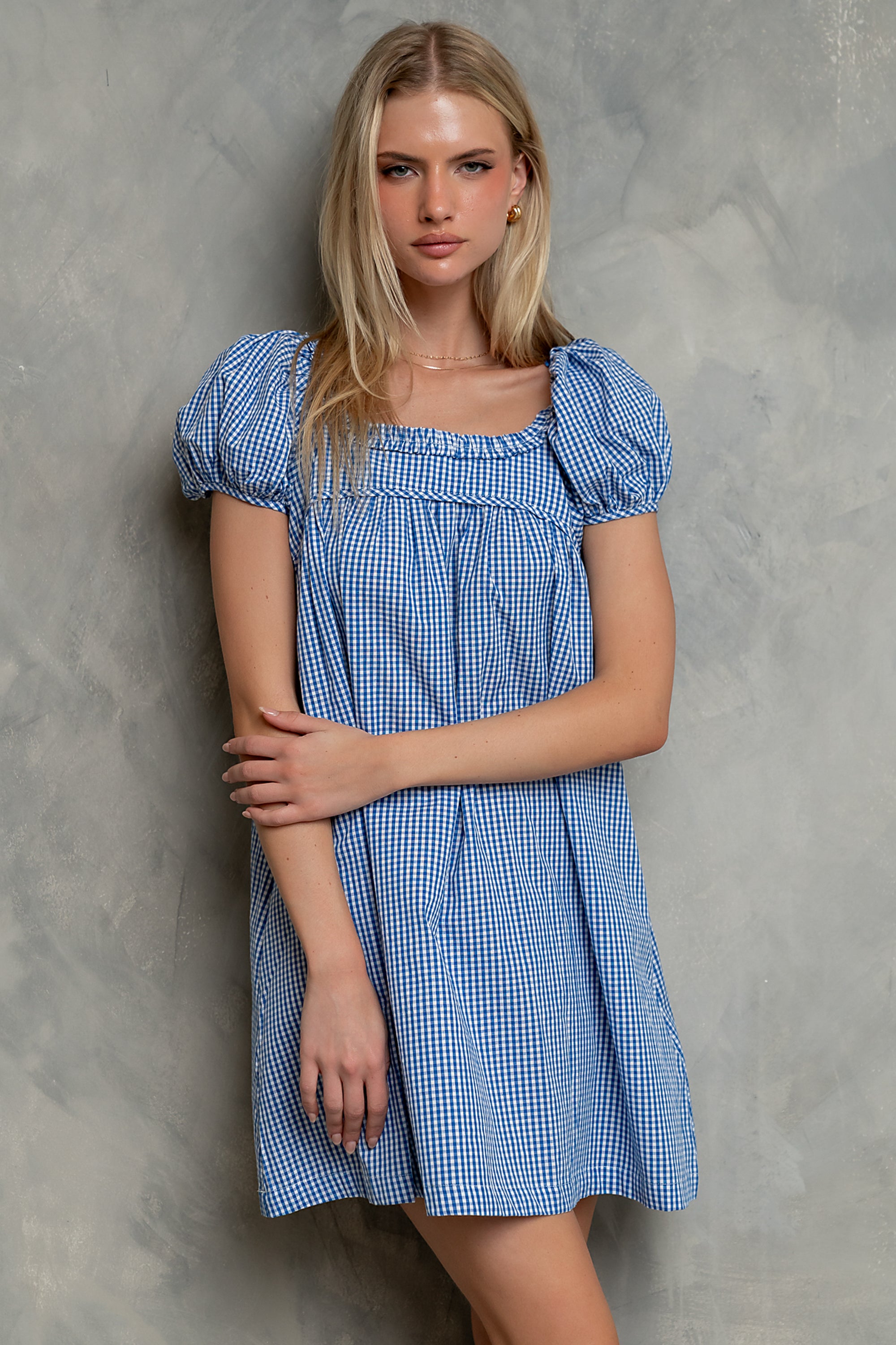 Evelyn Gingham Dress in Blue
