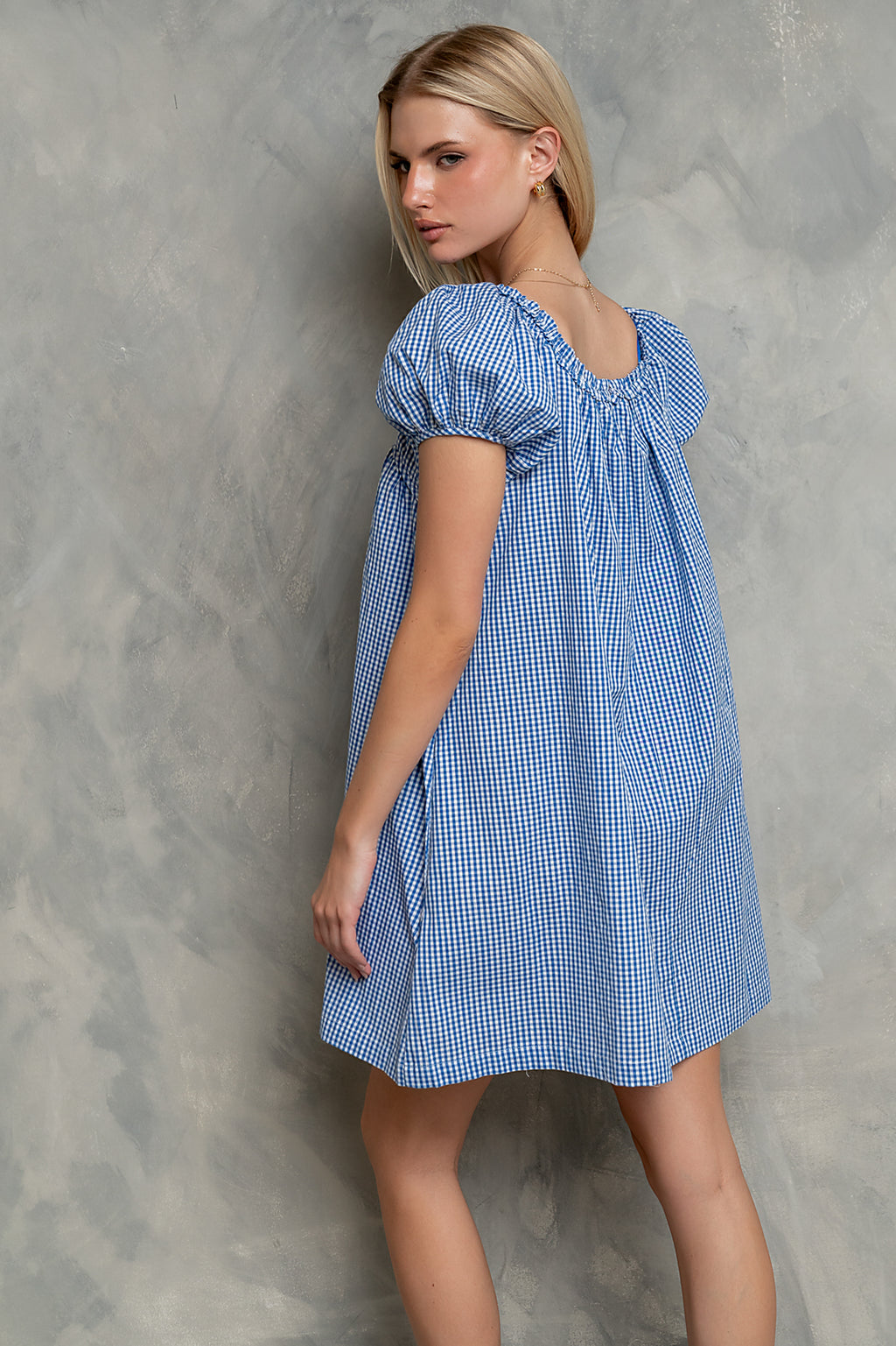 Evelyn Gingham Dress in Blue