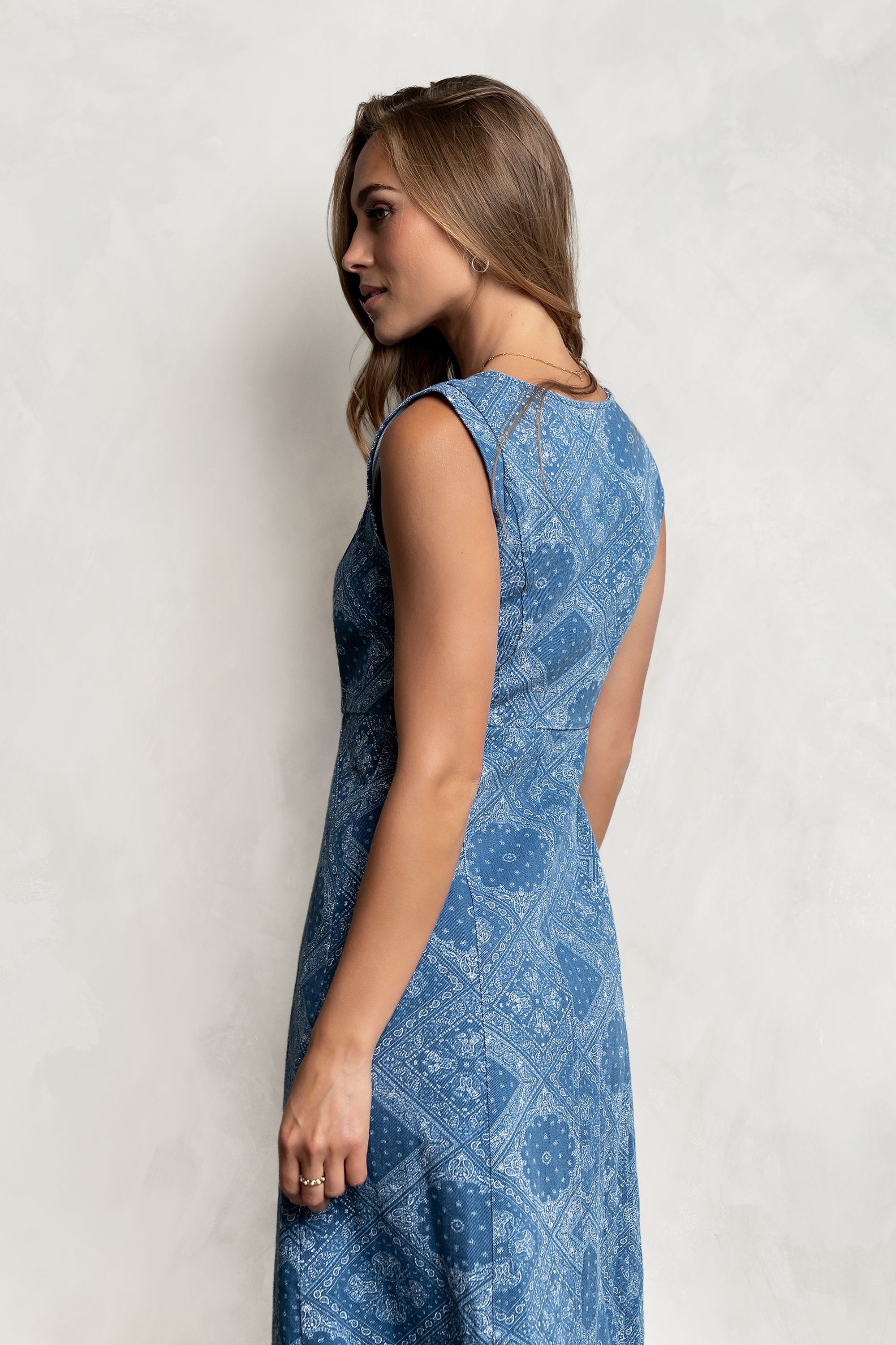 Penny Denim Dress