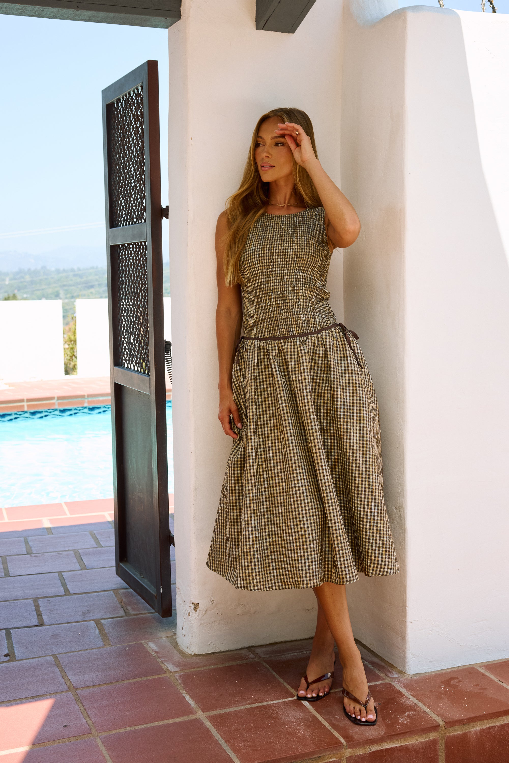 Ginny Gingham Dress XL / Brown