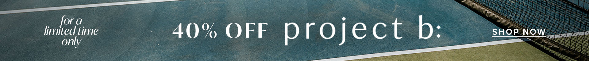 40% off project b