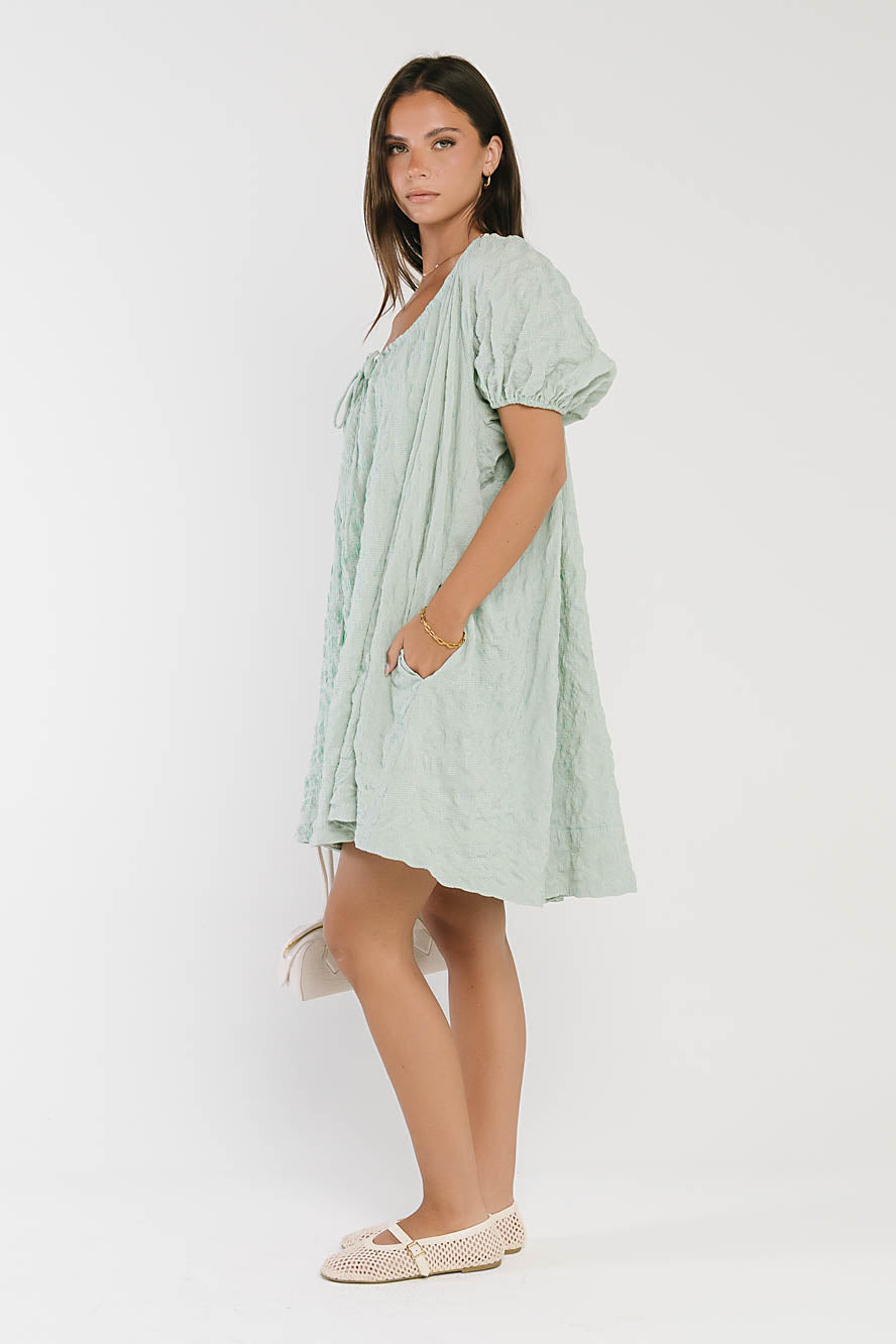Charlie Gingham Mini Dress in Blue