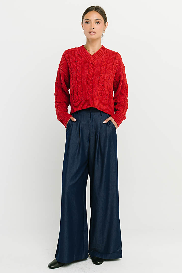 Joey Pleated Pants in Blue