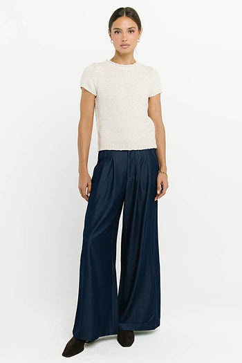 Joey Pleated Pants in Blue