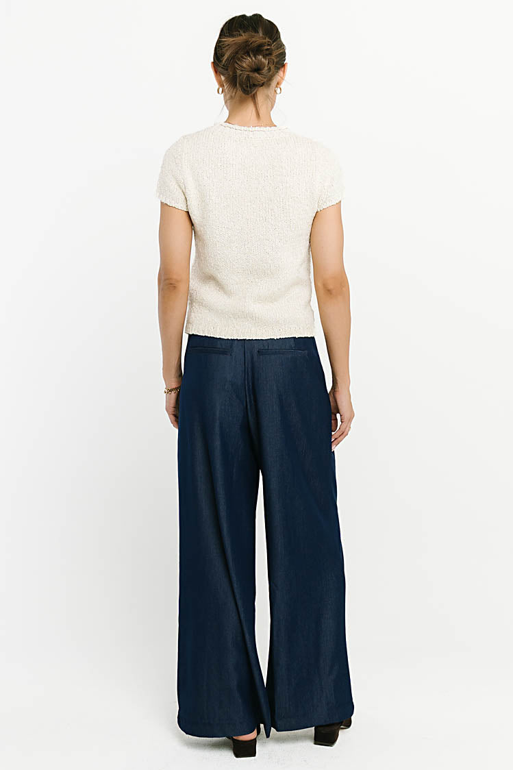 Joey Pleated Pants in Blue