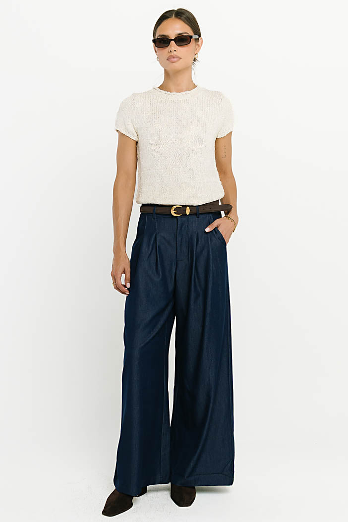Joey Pleated Pants in Blue