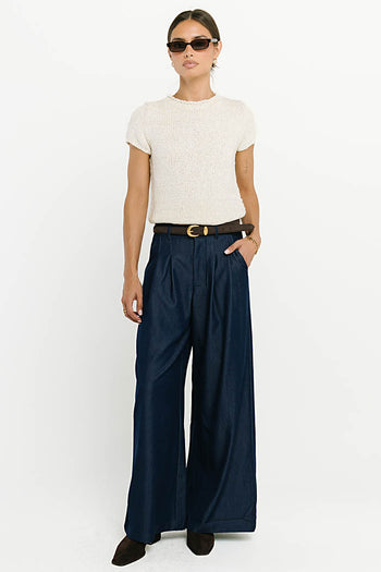 Joey Pleated Pants in Blue