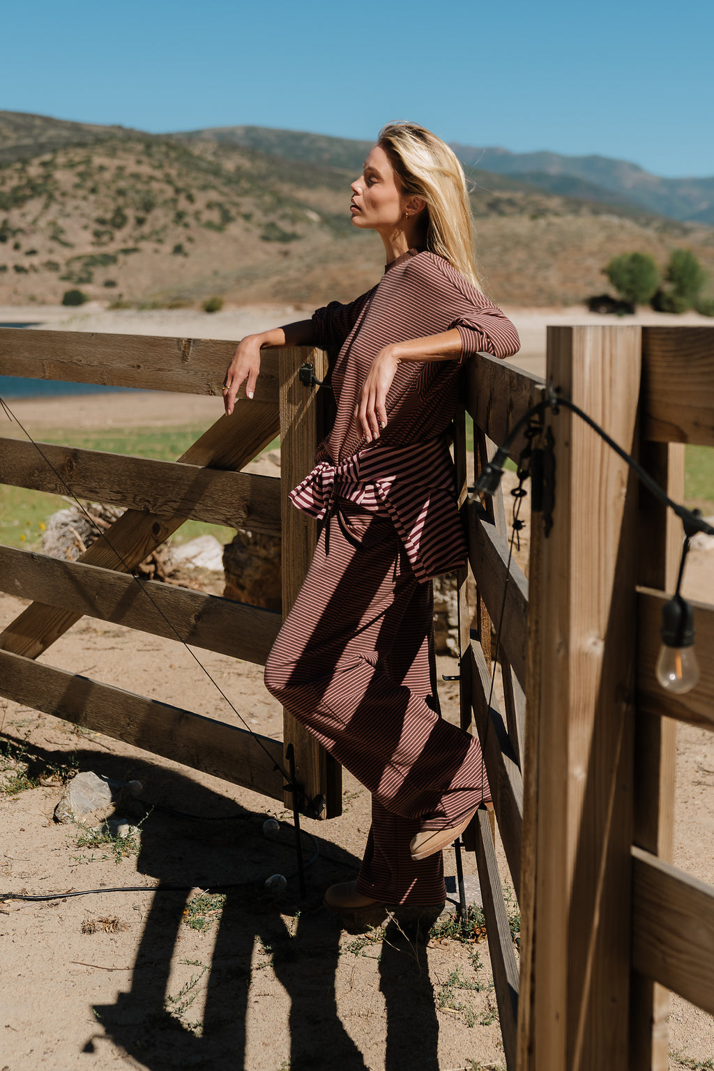 Shelby Striped Pants in Brown