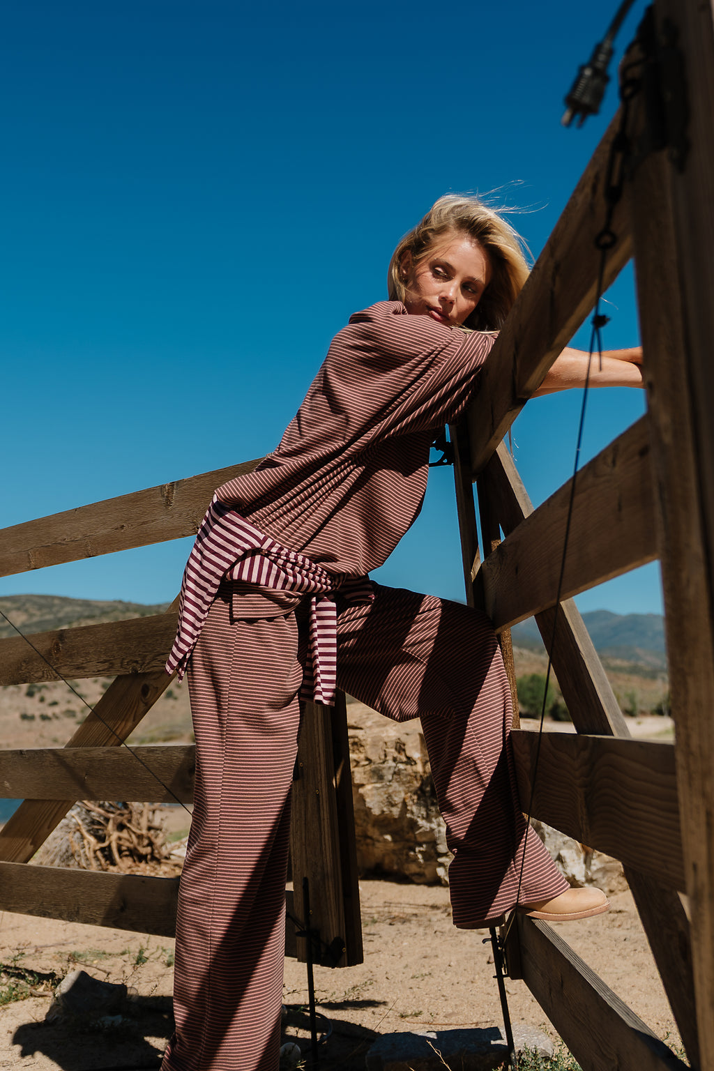Shelby Striped Top in Brown
