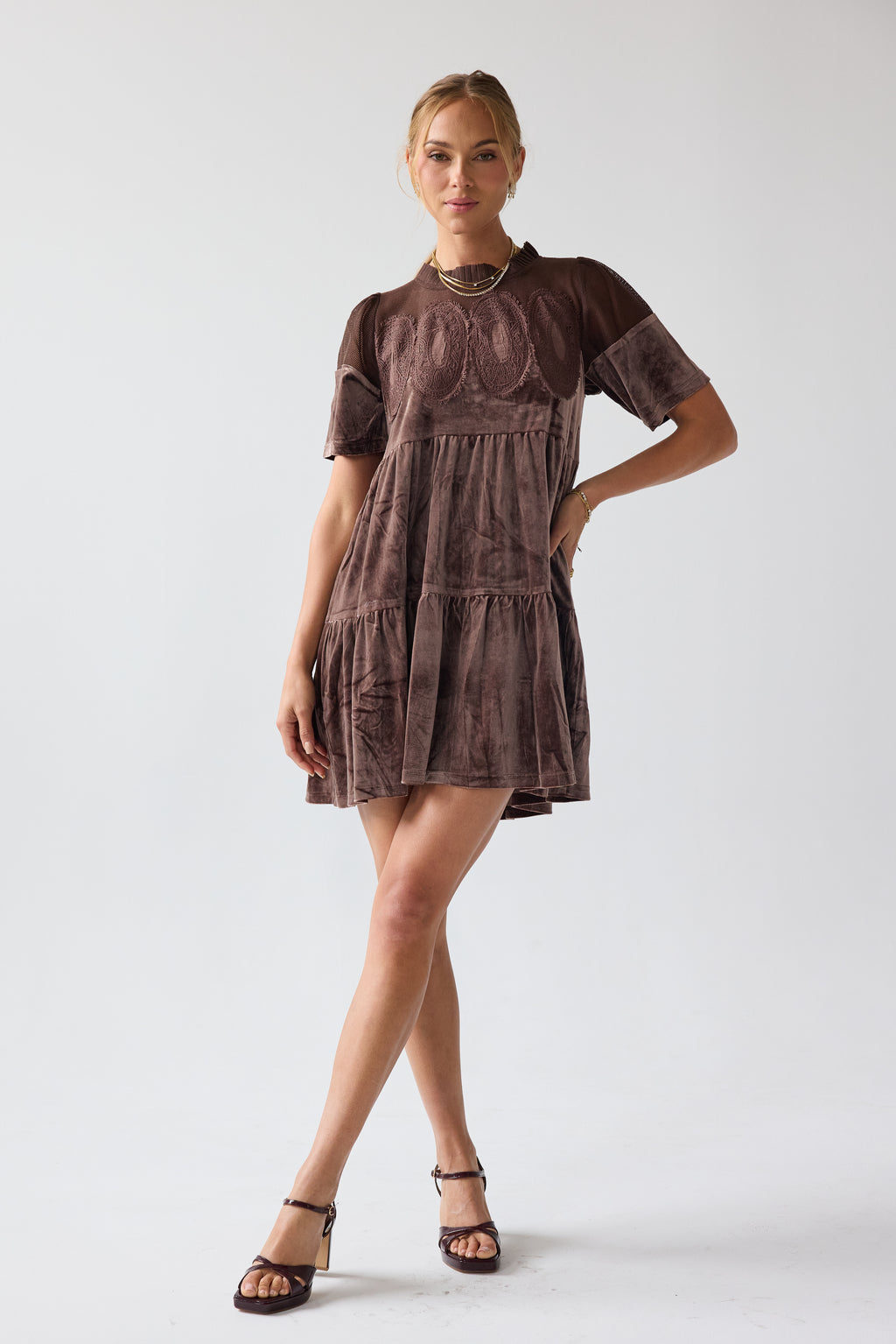 Banks Velvet Mini Dress in Brown