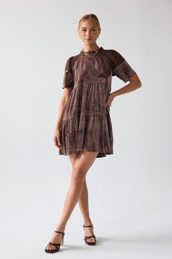 Banks Velvet Mini Dress in Brown
