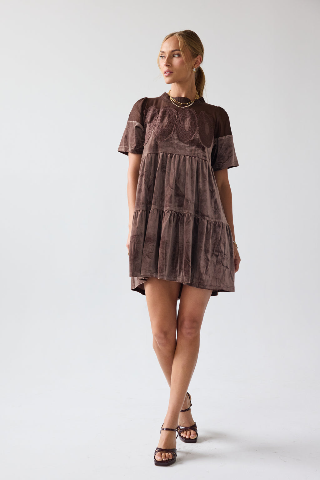 Banks Velvet Mini Dress in Brown