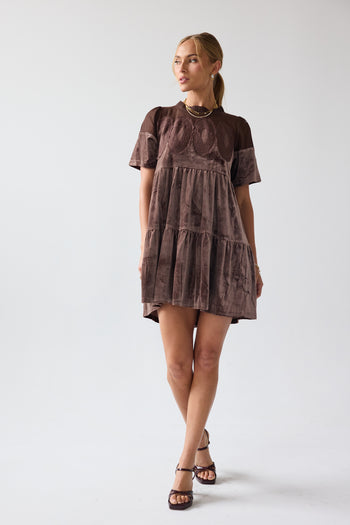 Banks Velvet Mini Dress in Brown