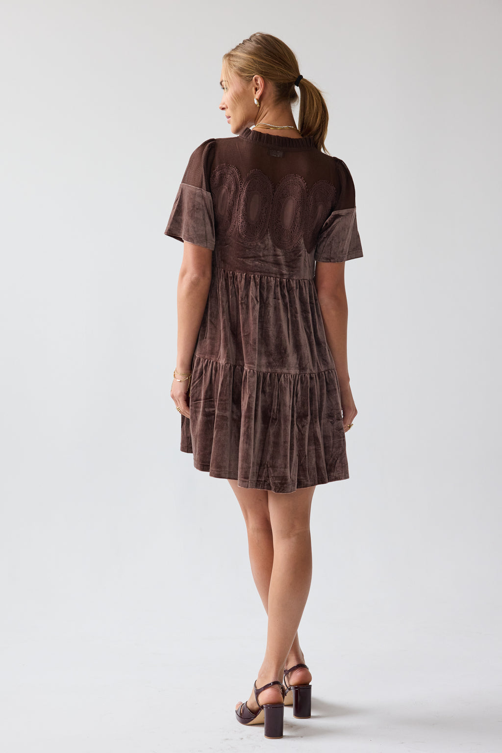Banks Velvet Mini Dress in Brown