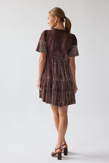 Banks Velvet Mini Dress in Brown