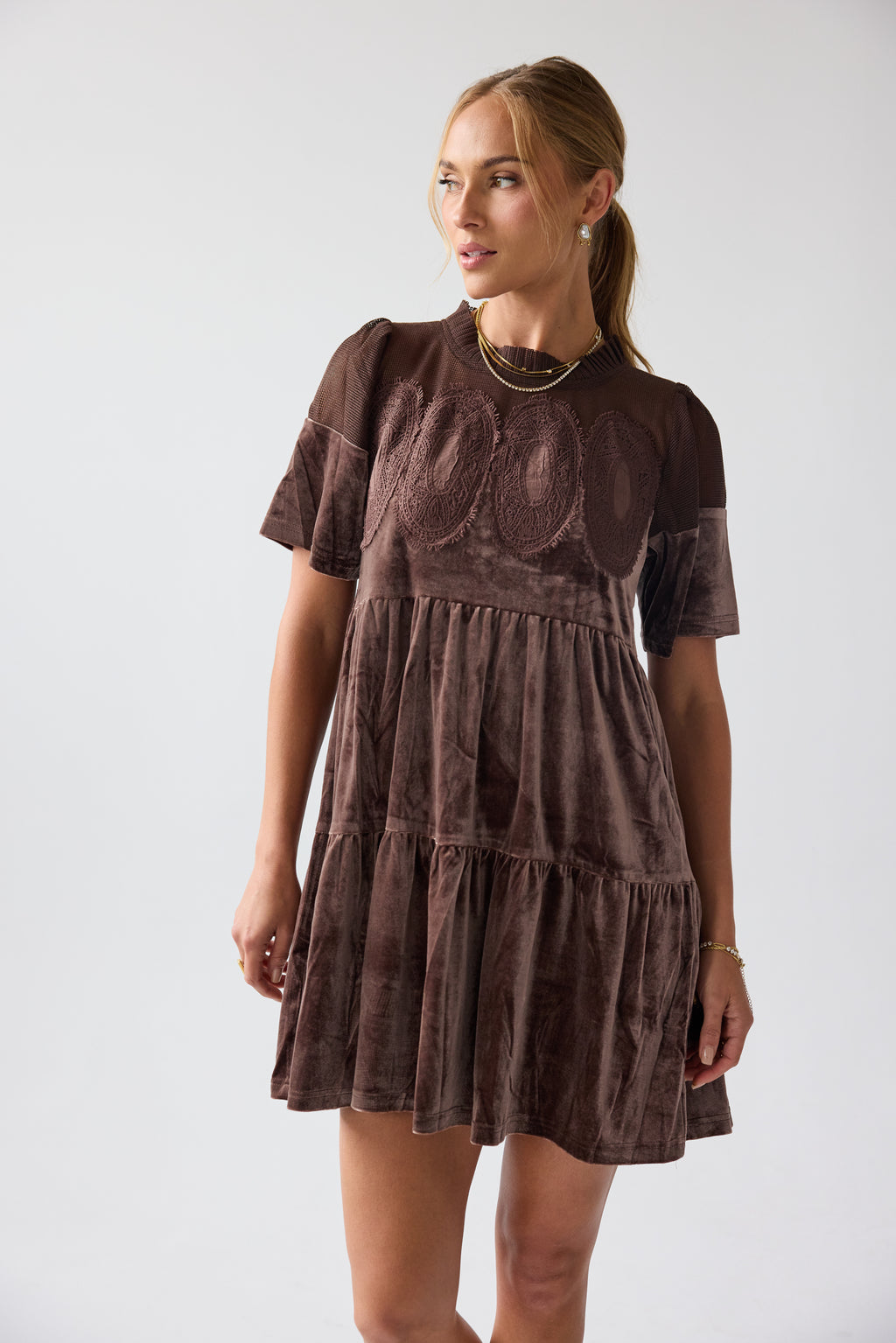 Banks Velvet Mini Dress in Brown
