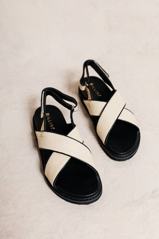 Zamba Sandals have black soles, white criss cross straps, and a back ankle strap. Sandals have gold hardware and black lining.